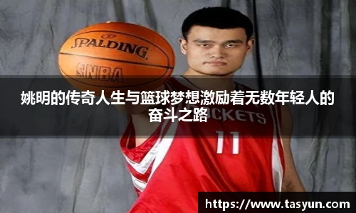 半岛bob·官方网站