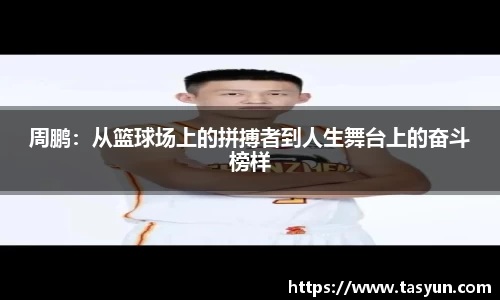 BoB半岛·体育中国官方网站