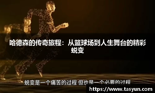 半岛bob·官方网站