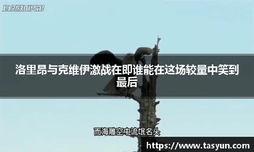 BoB半岛·体育中国官方网站